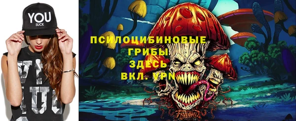 метамфетамин Алексин