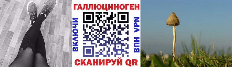KRAKEN онион купить закладку Апрелевка даркнет как зайти Галлюциногенные грибы Psilocybe