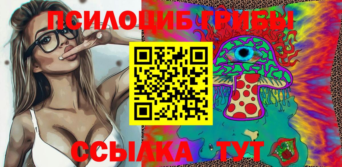 Апрелевка  Псилоцибиновые грибы Psilocybe  Псилоцибиновые грибы Magic Shrooms  Вход с VPN 